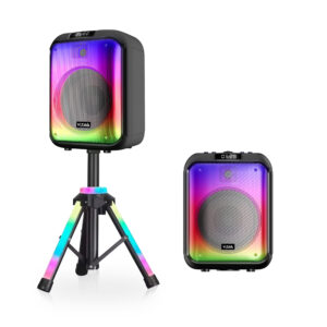12-inch 40W portable Bluetooth speaker with full flame lighting, RGB light stand, USB, AUX, TF, mic input, and 20Hz–20kHz frequency response