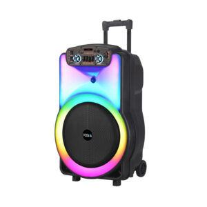 15-inch 40W portable speaker with Bluetooth, USB, AUX, TF card support, mic input, LED lights, and built-in rechargeable battery.